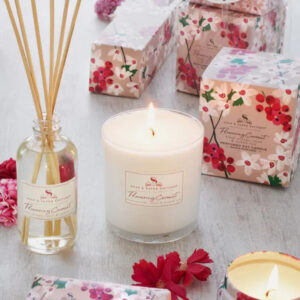 Aircare and Perfumery Fragrances